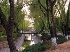 -菖蒲河公园