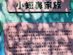 -野象谷景区