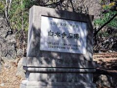 -白水寺森林公园