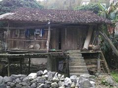 -南宁良凤江国家森林公园