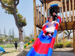 -上海长兴岛郊野公园