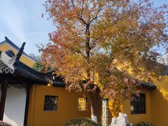 -圆通寺
