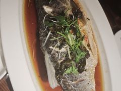 -七菜馆·东北菜·蒸饺(文体路店)