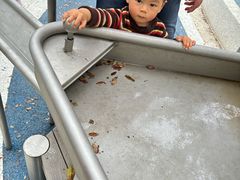 -宁波儿童公园(鄞州区)