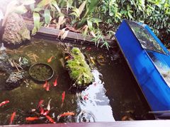 -西檬树SIMON·T轻奢蛋糕(大东方Max店)