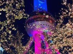 -东方明珠广播电视塔