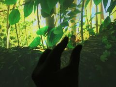 -龙谷湾旅游休闲度假区