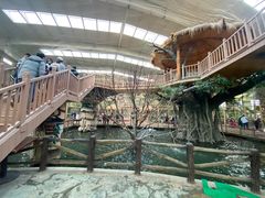 -南宫五洲植物乐园