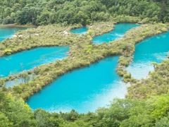 -九寨沟-树正沟