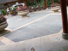 -碧水湾温泉