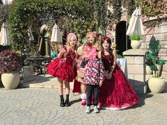 -大连海昌发现王国主题公园