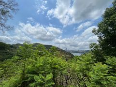-深圳仙湖植物园