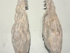 -世界恐龙谷景区