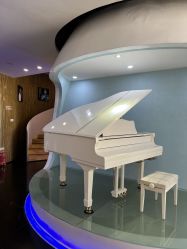 -比华利美容医院