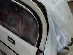 -米苏动物医院·犬猫专科·骨科外科内窥镜