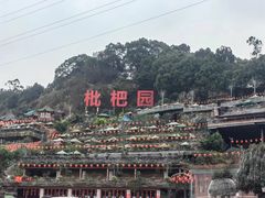 -枇杷园食为鲜火锅(南山店)