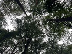 -波尔登森林公园