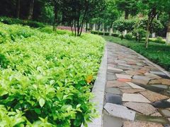 -龙头寺公园