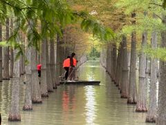 -泗洪洪泽湖湿地景区