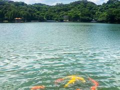 -西樵山风景名胜区-天湖公园