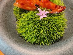 -觀芷隐轩