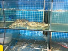 -杨记海鲜楼(三门黑金冠店)