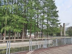 -月湖风景区