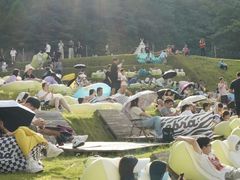 -龙岩森林水乡景区