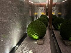 -同庆楼(滨湖万达广场店)