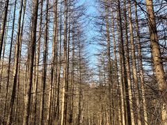 -秦岭风景区