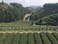-福建土楼（华安）旅游区•大地土楼群