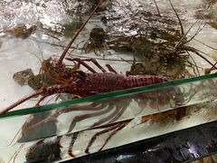 -沙田台山海鲜·酣客酒窖