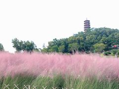 -红花山公园