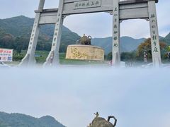 -龙坞茶村