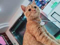 -爱乐蒙艺术·古筝 钢琴 声乐(科华校区)