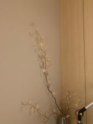 -恒美雅轩·品牌直营连锁