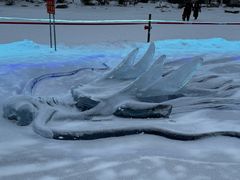 -长春市南湖公园