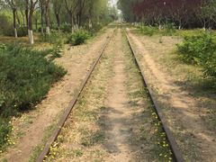 -永定河休闲森林公园