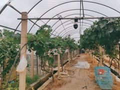 -美家乐农庄·露营·团建(大治路店)