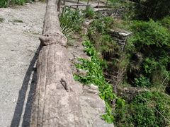 -庐山碧龙潭风景区