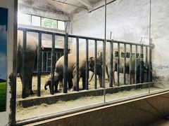 -石家庄市动物园