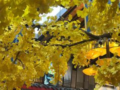 -老灶房-四川土菜(铁牛广场店)