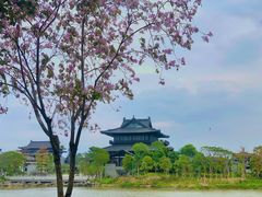 -海珠湖公园