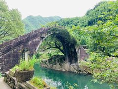 -鹿亭中村