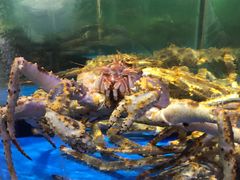 -蟹之国·精品蟹料理(极地店)