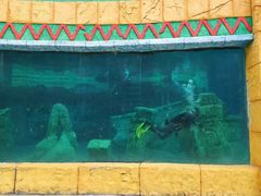 -上海玛雅海滩水公园