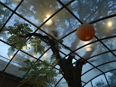 -zarah(鼓楼店)