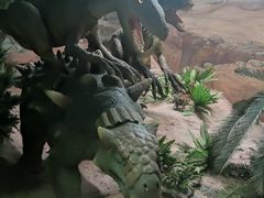 -国家自然博物馆