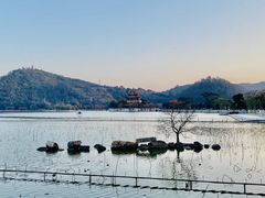 -顺峰山公园