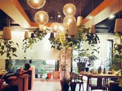 大堂-柴务处·柴犬主题狗咖